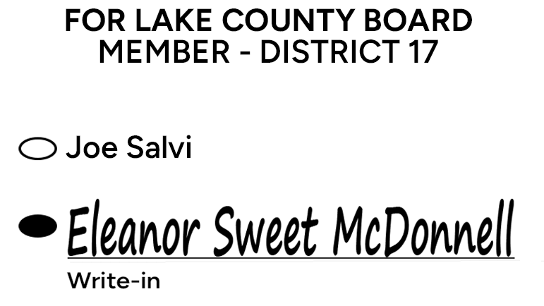 NEW ESM BALLOT EXAMPLE (updated)